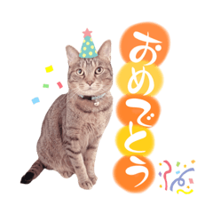 [LINEスタンプ] アランファミリー第二弾