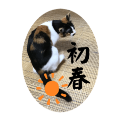 [LINEスタンプ] k.n オリジナル 10