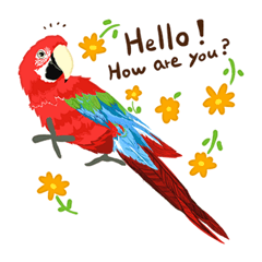 [LINEスタンプ] 花と鳥さん その1