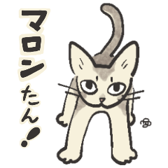 [LINEスタンプ] うちのマロンたん！の画像（メイン）