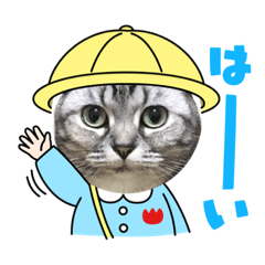 [LINEスタンプ] アメショービビアンちゃん