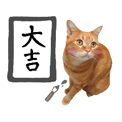 [LINEスタンプ] hknの日常3(文字あり )