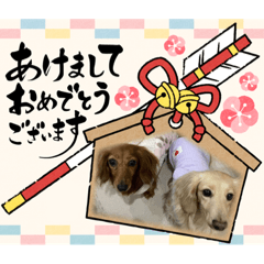 [LINEスタンプ] 年越しスタンプえな＆みるくちゃんver.