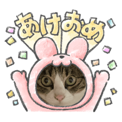 [LINEスタンプ] たま空新年
