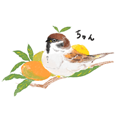 [LINEスタンプ] お庭の鳥さん