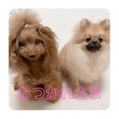 [LINEスタンプ] じゅなしあすたんぷ