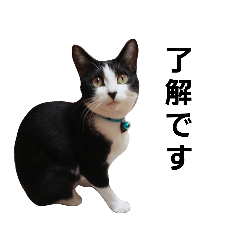 [LINEスタンプ] なめこの友達