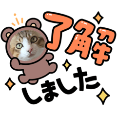 [LINEスタンプ] あもくんスタンプ♡4