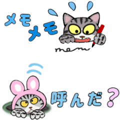 [LINEスタンプ] カラフル猫ーず+兵庫雀倶楽部