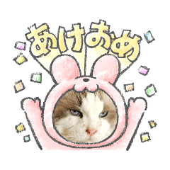 [LINEスタンプ] 年末正月たぬきねこ