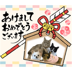 [LINEスタンプ] しっぽ族たちの新年のご挨拶