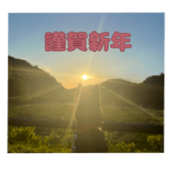 [LINEスタンプ] 甲斐犬松風のお正月スタンプ