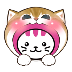 [LINEスタンプ] しまねこLINEスタンプ第二弾