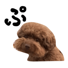 [LINEスタンプ] まつおぷくのスタンプ