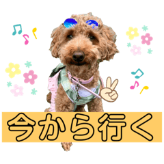 [LINEスタンプ] くりんの日常スタンプ