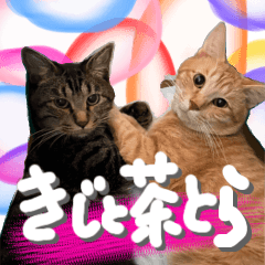 [LINEスタンプ] きじと茶とら