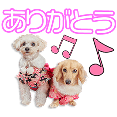 [LINEスタンプ] 池田家のまめ＆あずきちゃん