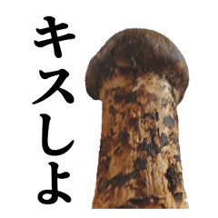 [LINEスタンプ] 立派な松茸スタンプ【面白い・キノコ】