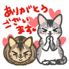 [LINEスタンプ] キジトラサバシロにゃんこスタンプ2