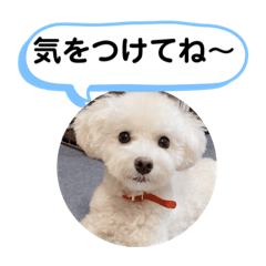 [LINEスタンプ] かねねんのうめ吉くん⑤