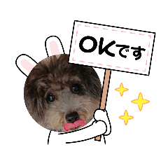 [LINEスタンプ] いつも可愛いわんわん