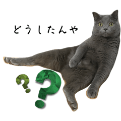 [LINEスタンプ] ぶるくんの日常3