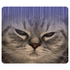 [LINEスタンプ] まさもさまる