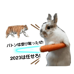 [LINEスタンプ] 色々なウサギ