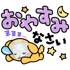 [LINEスタンプ] kuro スタンプ