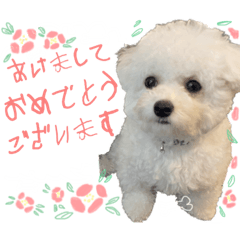 [LINEスタンプ] お正月のおもちちゃん