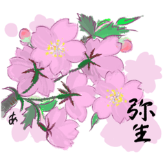 [LINEスタンプ] 12ヶ月の綺麗な花♡月々の和名入りです♡