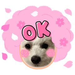[LINEスタンプ] mokako8