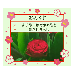 [LINEスタンプ] ♫全部大吉♫贈答花柄幸運みくじGIFTおみくじ