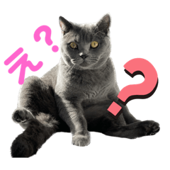 [LINEスタンプ] ゴビすたんぷ②