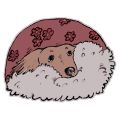 [LINEスタンプ] おじさん犬まるちゃん