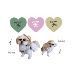 [LINEスタンプ] ♡yumiko様