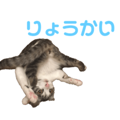 [LINEスタンプ] ひーたんさん