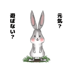 [LINEスタンプ] コミカルなウサギ