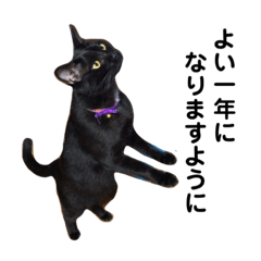 [LINEスタンプ] 癒され隊3兄妹年末年始