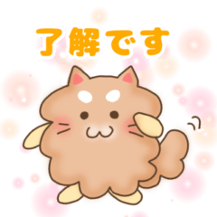 [LINEスタンプ] 癒し系ポメラニアンの便利スタンプ