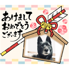 [LINEスタンプ] クマの年賀の挨拶