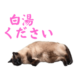 [LINEスタンプ] さくらおばあさん