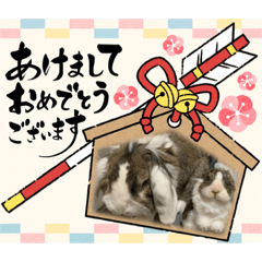 [LINEスタンプ] ロップイヤーのTiffanyくん〜お正月編〜