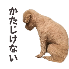 [LINEスタンプ] 可愛いカフェとモカ その6