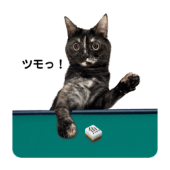 [LINEスタンプ] 麻雀練習中のねこ