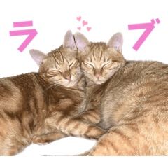 [LINEスタンプ] トトやんとムーやん