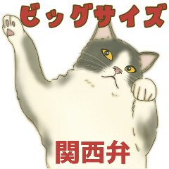 [LINEスタンプ] ❤️関西❤️モフ猫連合❤️Bigサイズやでの画像（メイン）