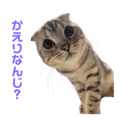 [LINEスタンプ] らいんすぱんぷ