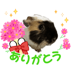 [LINEスタンプ] 中村さんちのチビちゃん