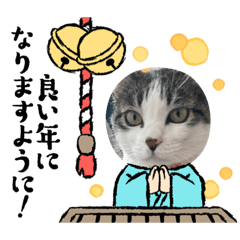 [LINEスタンプ] 我が家のツンデレたち